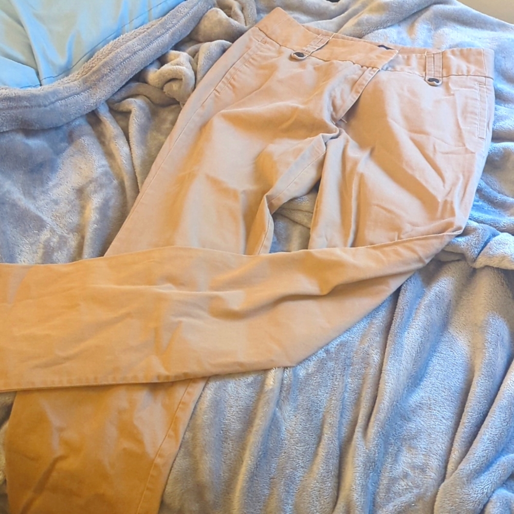Zara Dress Pants
